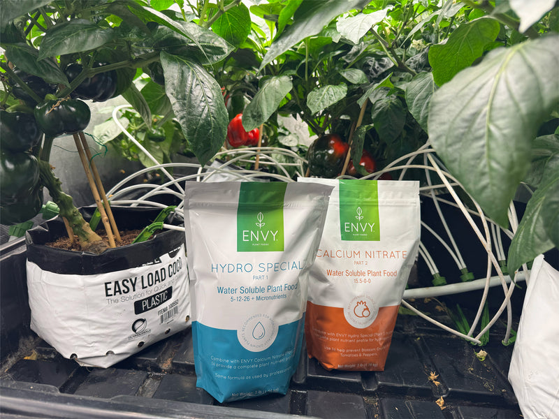 Image showing ENVY Plant Foods Hydro Special and Calcium Nitrate in front of hydroponic plants
