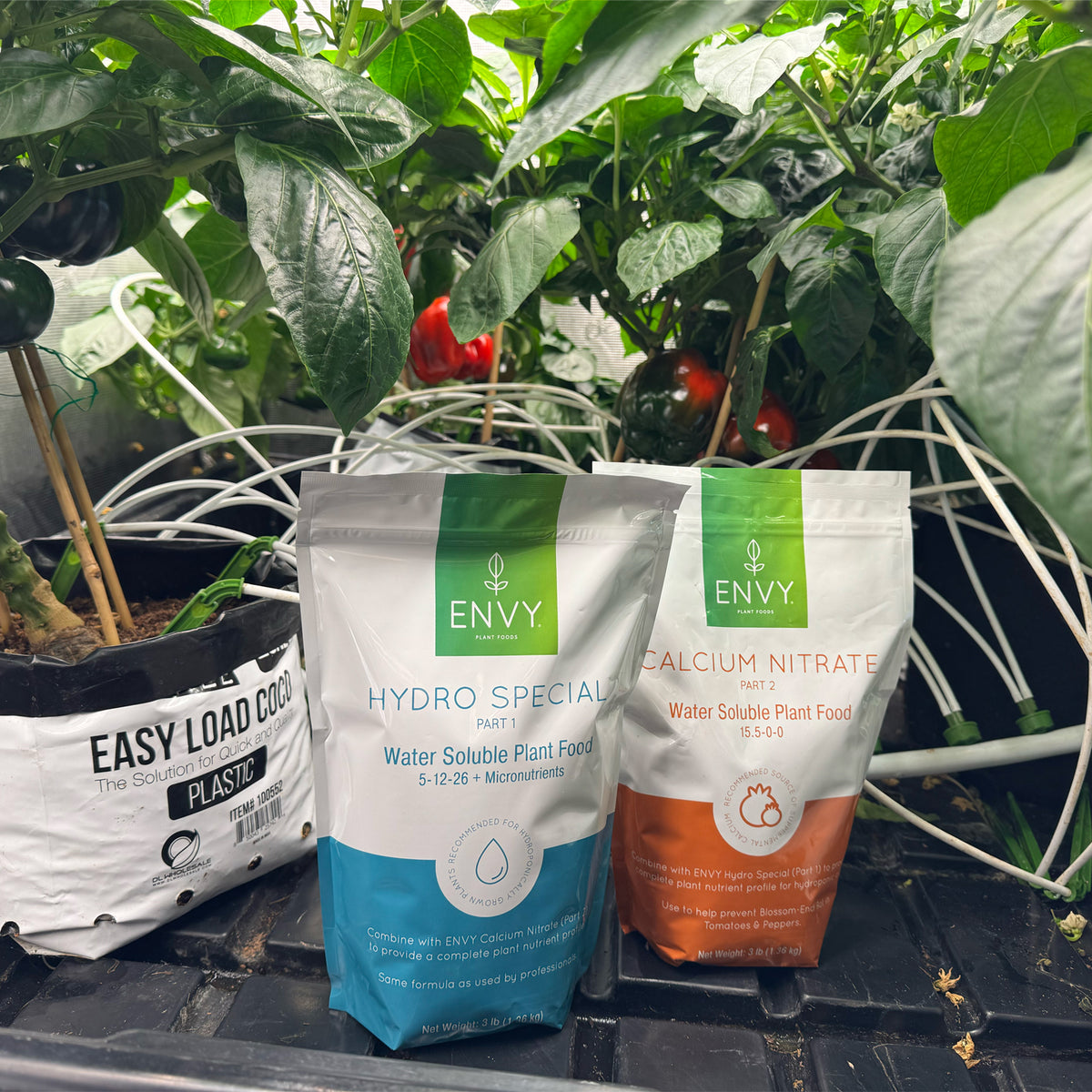 Image showing ENVY Plant Foods Hydro Special and Calcium Nitrate in front of hydroponic plants