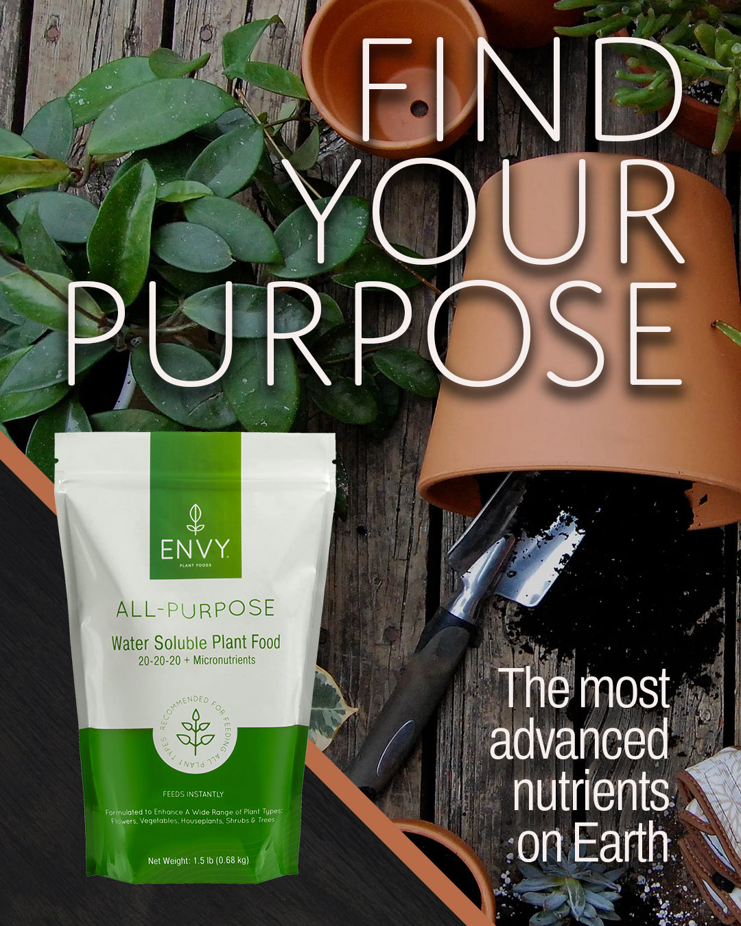 ENVY All-Purpose (20-20-20) Water-Soluble Plant Food – Envy Plant