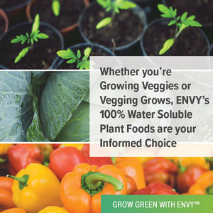 ENVY Magnesium Sulfate (Epsom Salts) Water-Soluble Plant Supplement